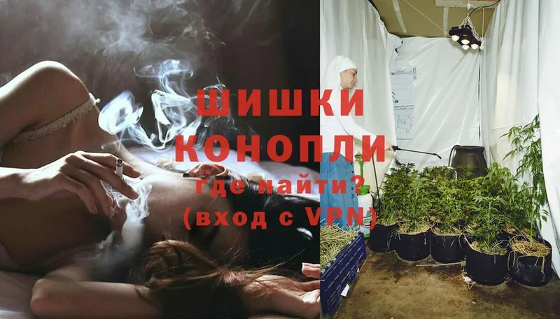 Шишки марихуана Ganja  Светлоград 